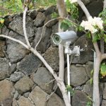 Landscape Lighting and Security Cameras