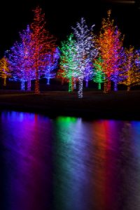 Four Benefits of LED Christmas Lights