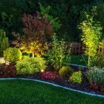 When to Use Uplighting and Downlighting in Your Yard