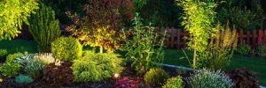 When to Use Uplighting and Downlighting in Your Yard
