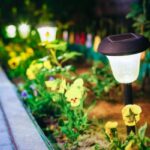 A close up view of landscape lighting